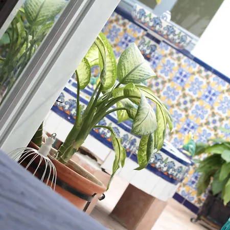 Moon Dreams Mediterraneo